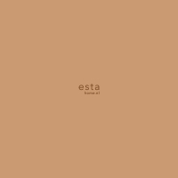 ESTA wallpaper copper