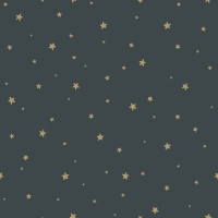 ESTA wallpaper blue with golden stars