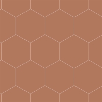 Terracotta and white hexagon wallpaper