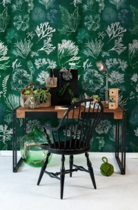 Premium wallpaper Algae Moss