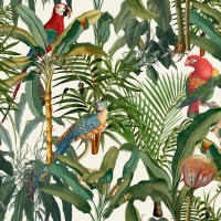 Premium wallpaper Parrots of Brasil
