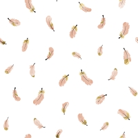 Lilipinso wallpaper feather