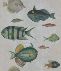 Fish wallpaper grey