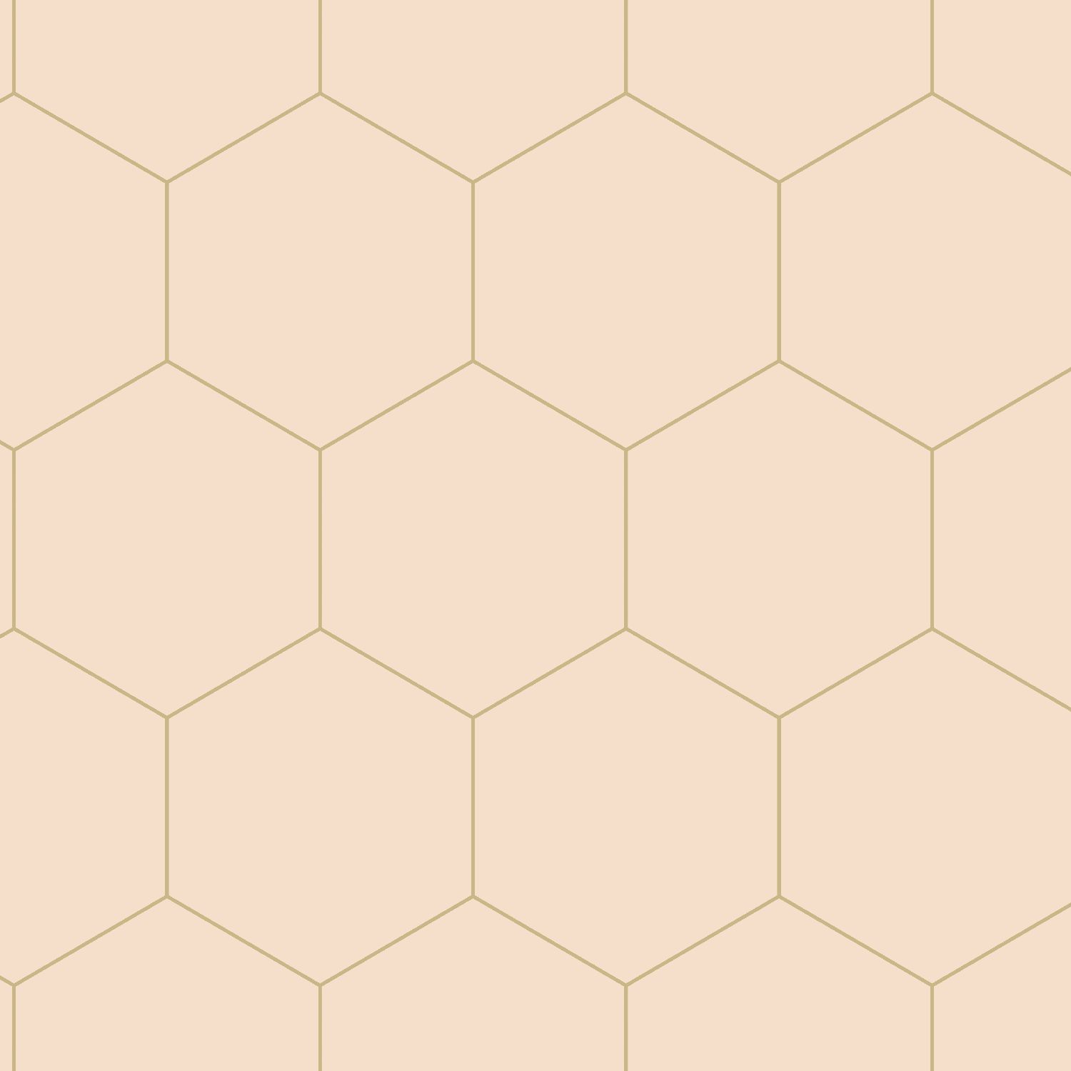 klok feit scheiden Beige-goud honinggraat behang - Funkywalls - Dé webshop voor vintage en  modern behang