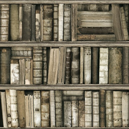 bevolking verdiepen ritme Antieke boekenkast behang - Funkywalls - Dé webshop voor vintage en modern  behang