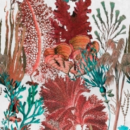 Luxebehang koraalrif rood