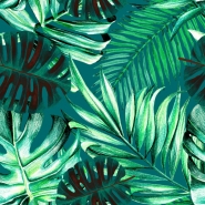 Rainforest wallpaper
