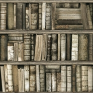 Antieke boekenkast behang